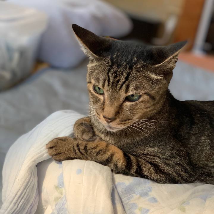 3b583881 7adc 4526 9930 2d645572a961 1565484758355