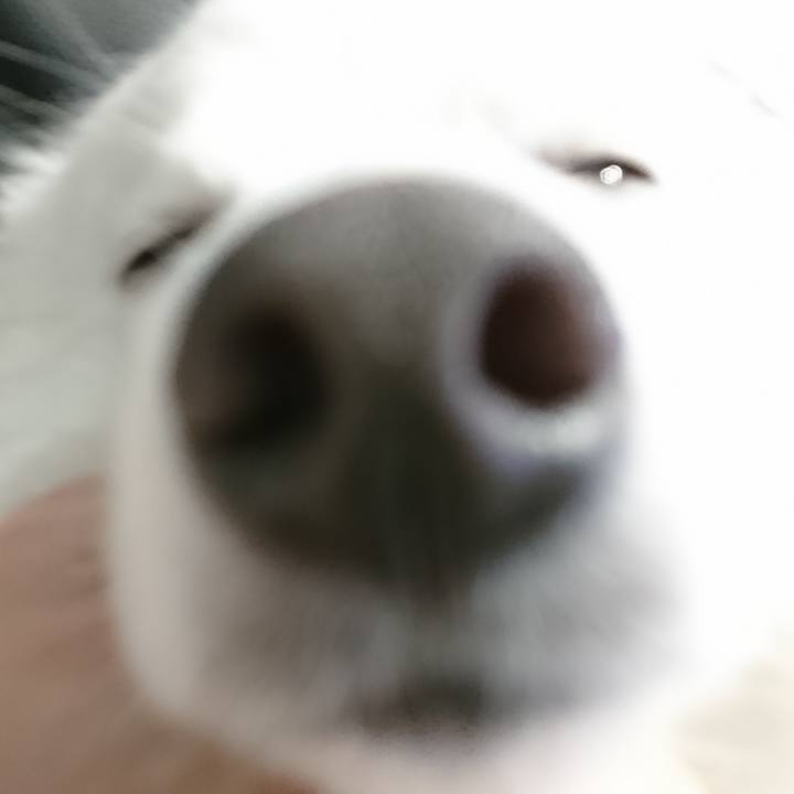 3b58392a 3895 4e20 95c4 0e1078312bc5 1582963186285