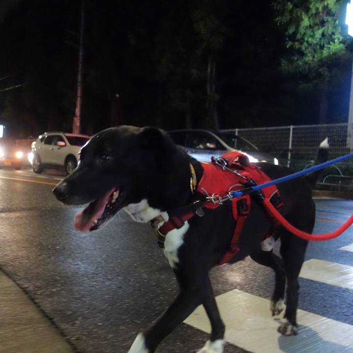 3b58cee2 4859 42c7 87cd c2f1b14fb922 1600080885108