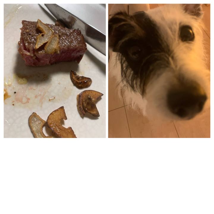 3b5902a0 4a32 4618 ba0d 3a048107edb2 1633774542249