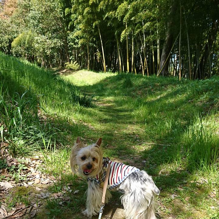 3b596b2b e532 47a6 9cc4 8e2f3ea62fa9 1555740770601