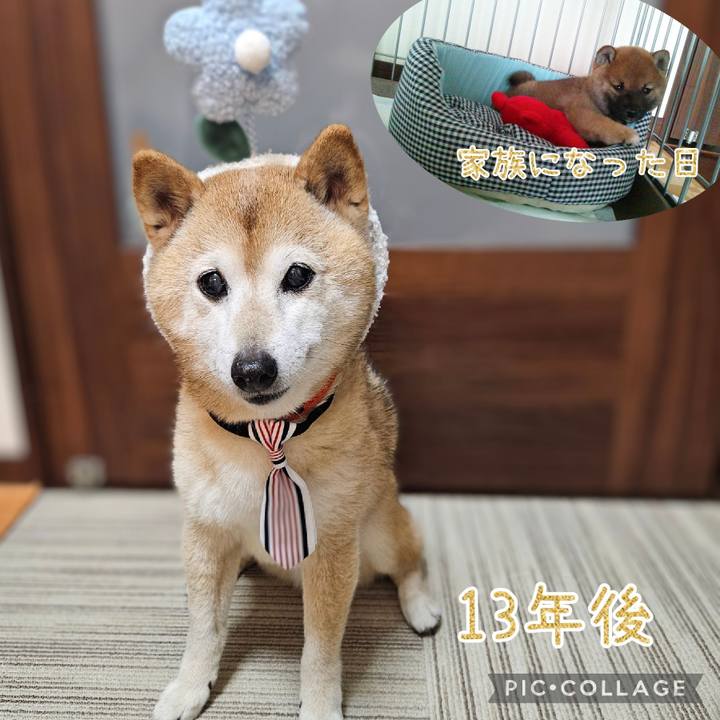 3b597b5c 4a34 4a52 97aa 3cc2c55d9be3 1748090379659