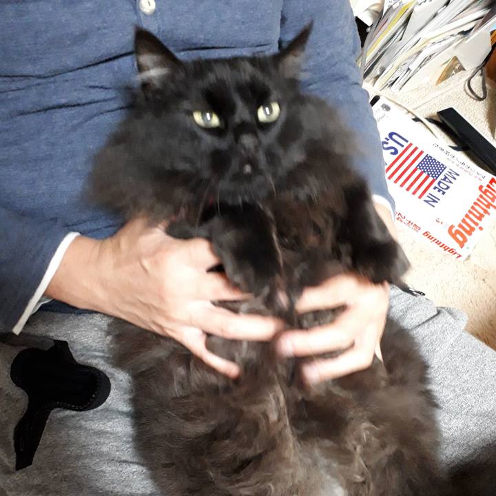 3b598d91 fbb0 43b6 9e91 b17ea896c290 1523098158426