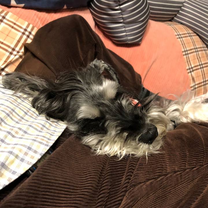 3b5996af a02d 4575 bd81 72efad2c9efc 1682600310079