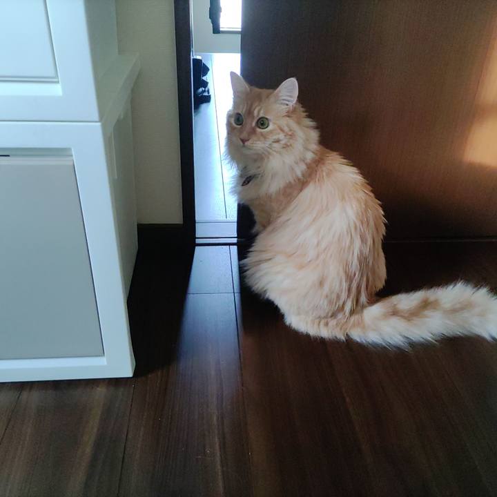 3b59b84b caf3 49b8 85ca 5b0b2a1141f2 1656675437655