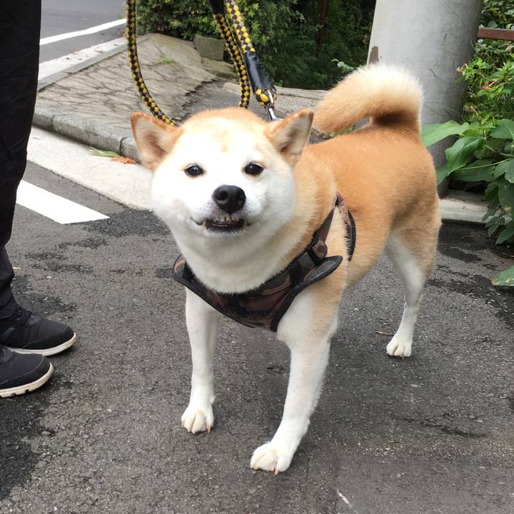 3b59e15d 7f28 4508 a1ed cf87a8090d91 1567591371735