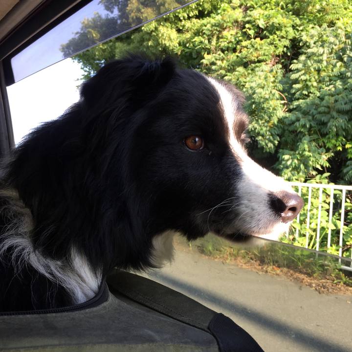 3b59e3be 4d44 42d6 8576 5fc894a2b1cd 1527805194667