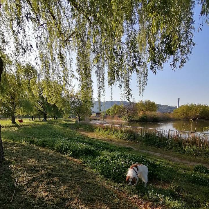 3b59fb5c 0b48 4fd6 aad5 f177faca04ca 1618012364458