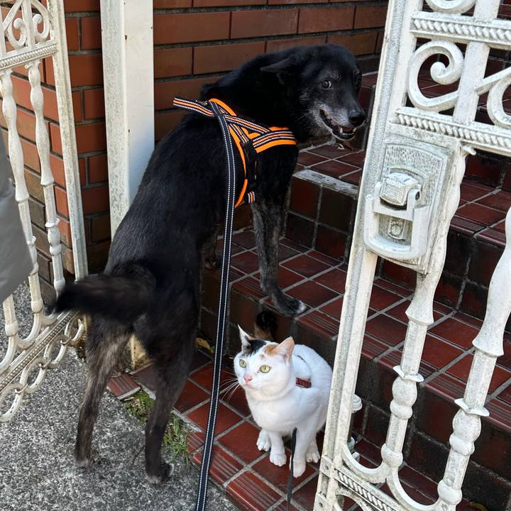 3b5a03fb 3e44 4899 9b32 41e95574fc1d 1743850082683