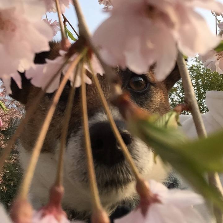 3b5a0d60 52db 4d03 a0d1 0ee318638cf0 1522626683724