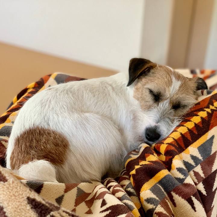 3b5a3686 592c 4fff 92a9 24b0371f8285 1620022447314