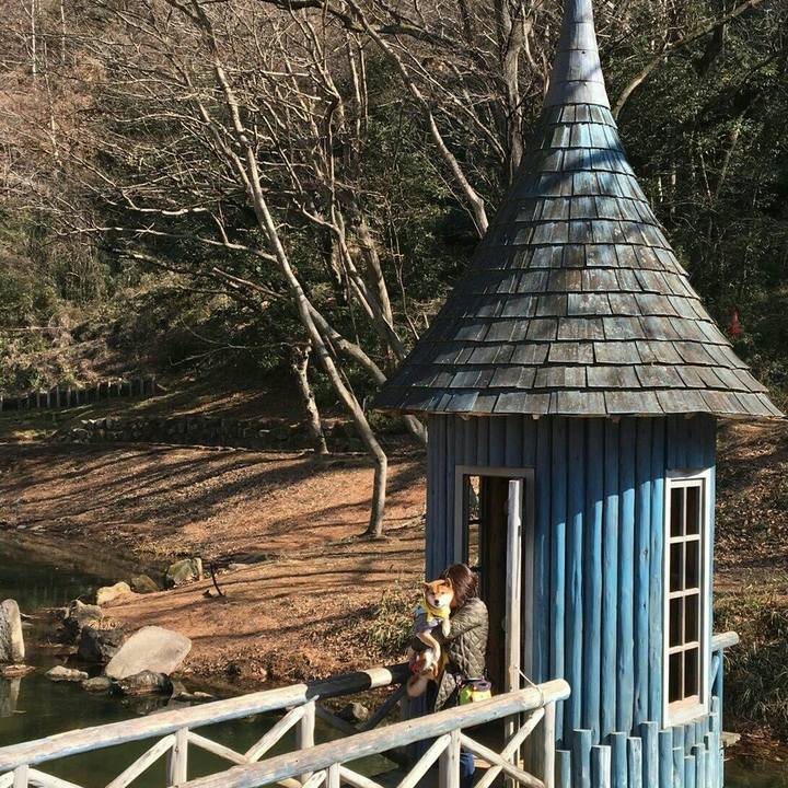 3b5a5229 adc3 4a27 b7a5 f3a30bf43286 1549205004339