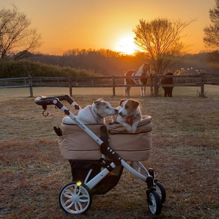 3b5af6bd 0d76 40f2 a8ed 49daae13d804 1735722915355