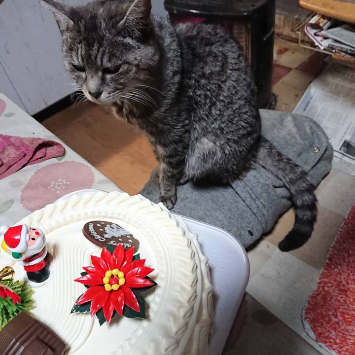 3b5b4cb9 44b4 4831 a198 faf09b2d40ed 1577448486331