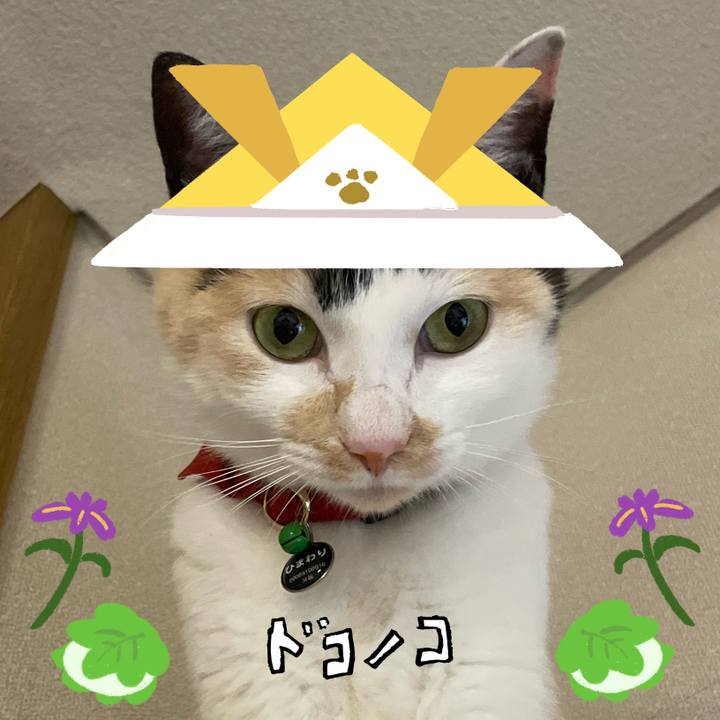 3b5b6c00 93e8 4ac7 8ad2 25ab1c157398 1714907916567