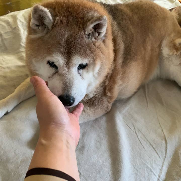 3b5b9cd5 d38d 4dd0 a380 ce6121874651 1632956747141