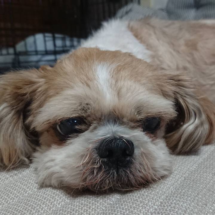 3b5bb690 7005 4d26 91d0 30a6b0783251 1528190910492