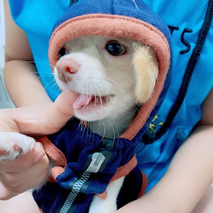 3b5c1f69 9306 479b b962 bdbc606a7048 1594812431939