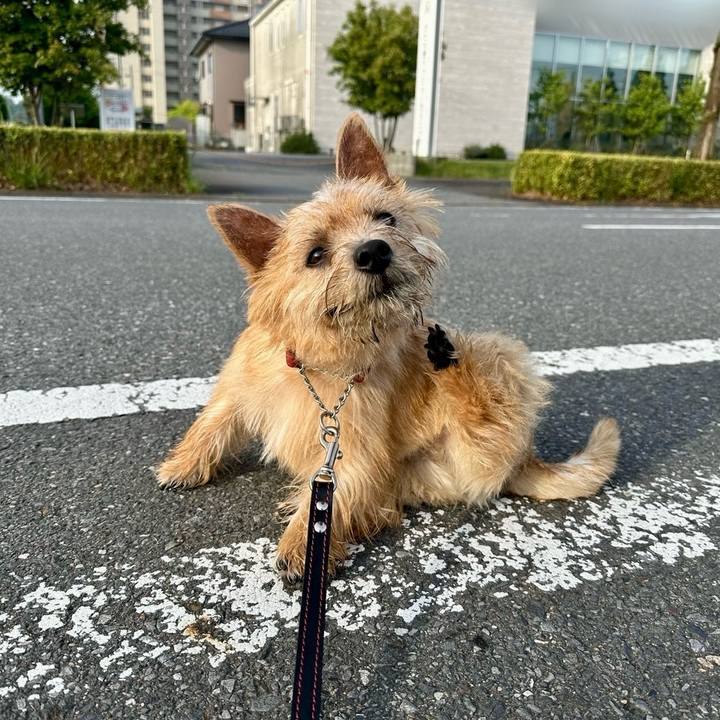 3b5c5106 d08a 4d28 92bf 04d3d136299e 1716370563111