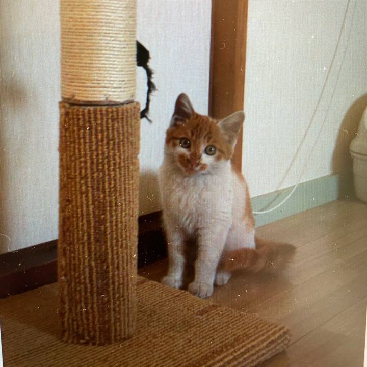 3b5c64ad 445c 413b ad4d 5f3f59a62041 1635919460291