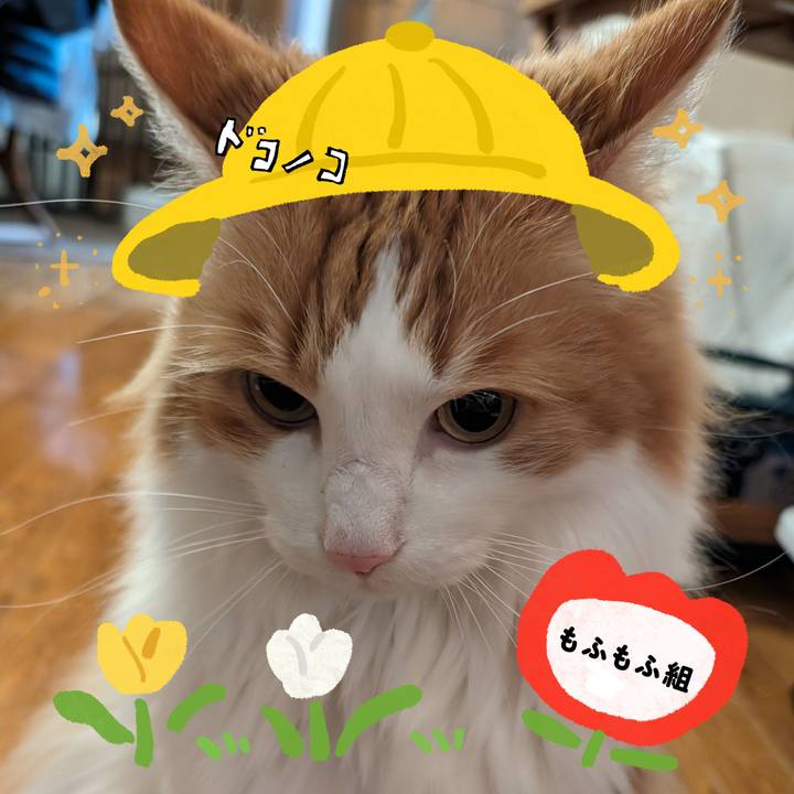 3b5c65cf 48b3 4117 9e0c f6f4acb2499e 1712758706240