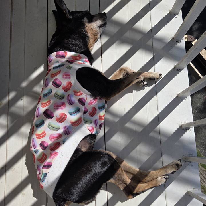 3b5c76bf 46f1 4753 a76f cf2637b36b61 1758858272013