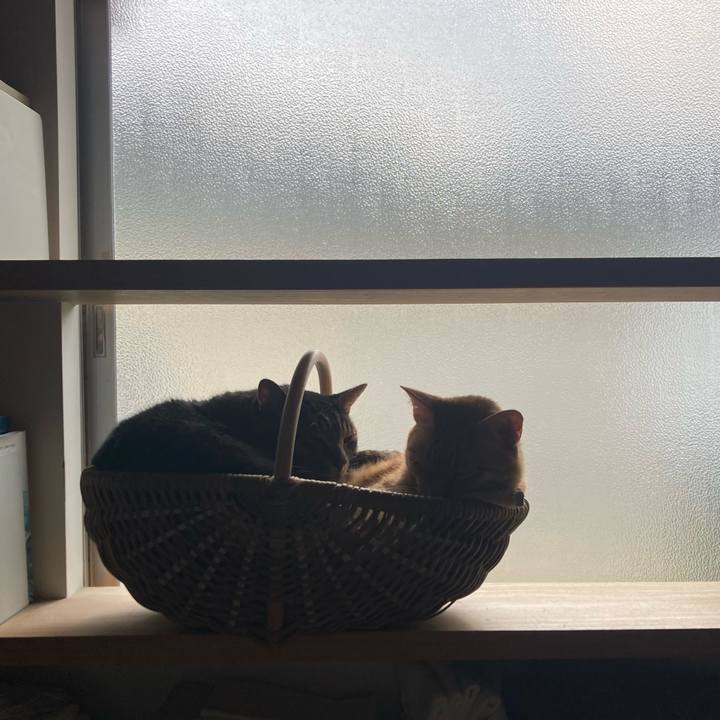 3b5cceaa 36b6 400f b6f2 988596ac8a8b 1731799787116