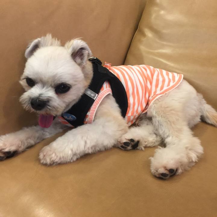 3b5cd061 e153 43a1 b766 08b7f9258090 1535021717773