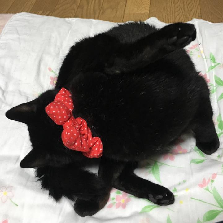 3b5ce559 0a53 42fe b96d 58784540a618 1545308025647