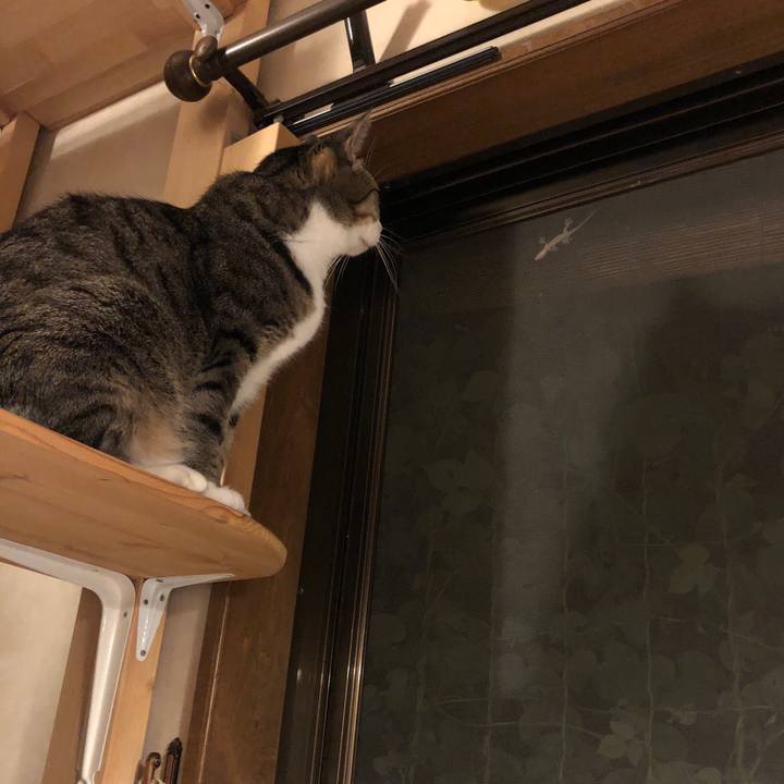 3b5d161e b194 4070 837c fdc85fd27856 1596808868731