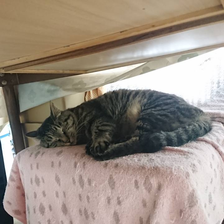 3b5d629f ee1b 4954 a47c 57a2ea3818cb 1654120543815