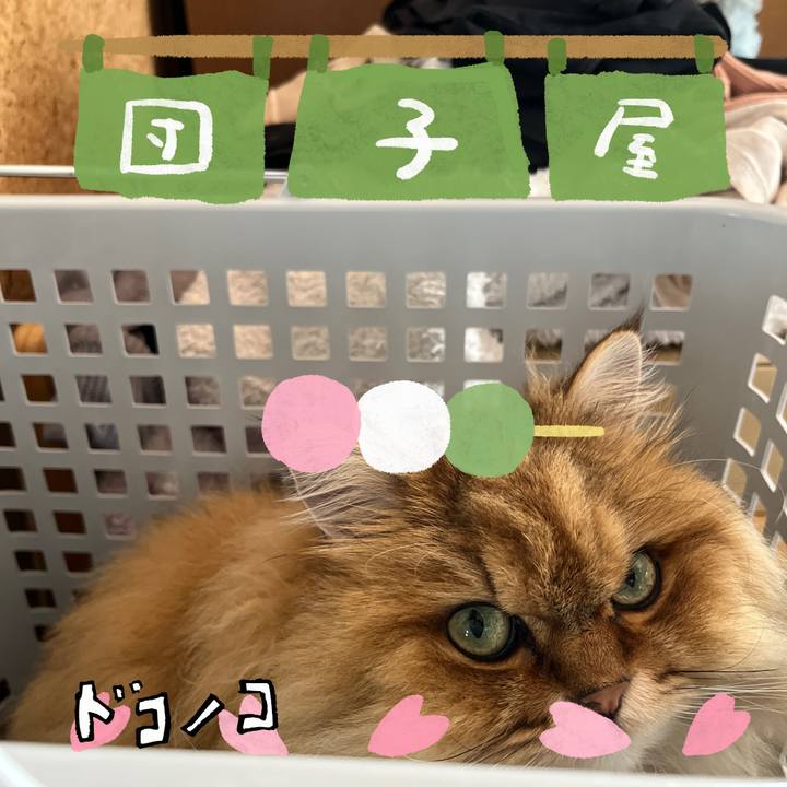 3b5d7e99 03d2 4e3f 865e f8a196197d13 1712533408012