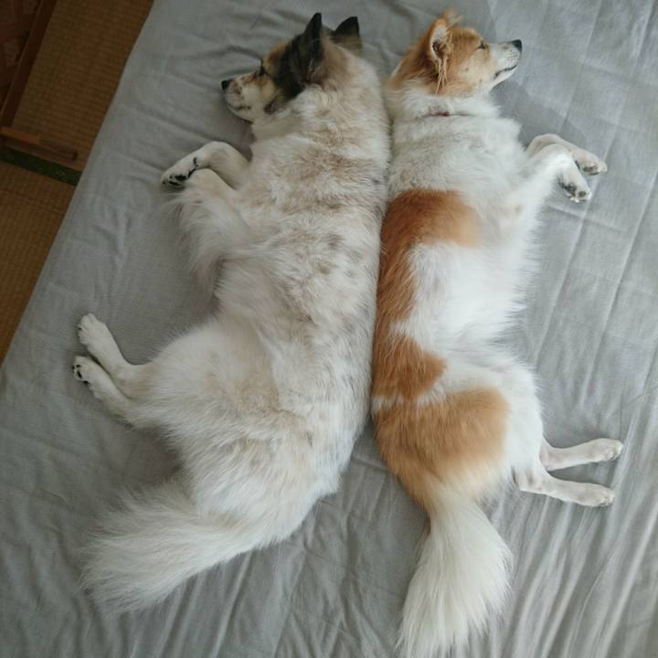 3b5d9174 9d25 4d44 8ca6 88a6e9a2a785 1543668955614