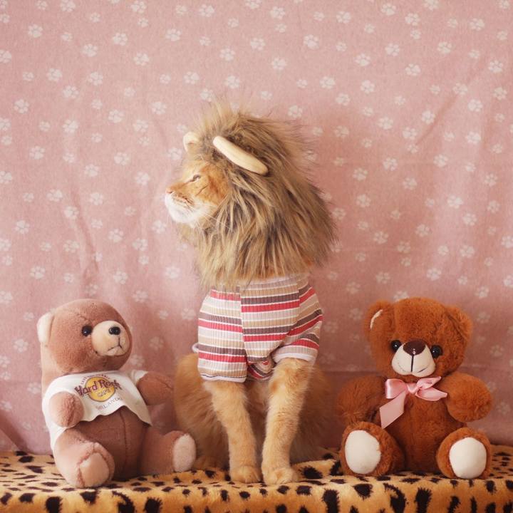 3b5d9a6f 3100 41e9 b2d1 3c992f1bd2eb 1699174637940