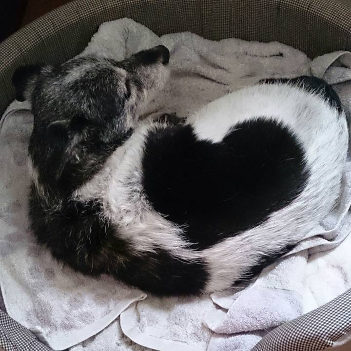 3b5e469c c467 4b33 b563 938ddee989ea 1515682780080