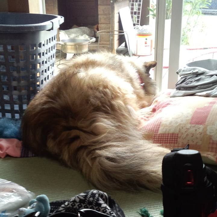 3b5e5936 4915 430b 8541 59e416344a47 1601160767231