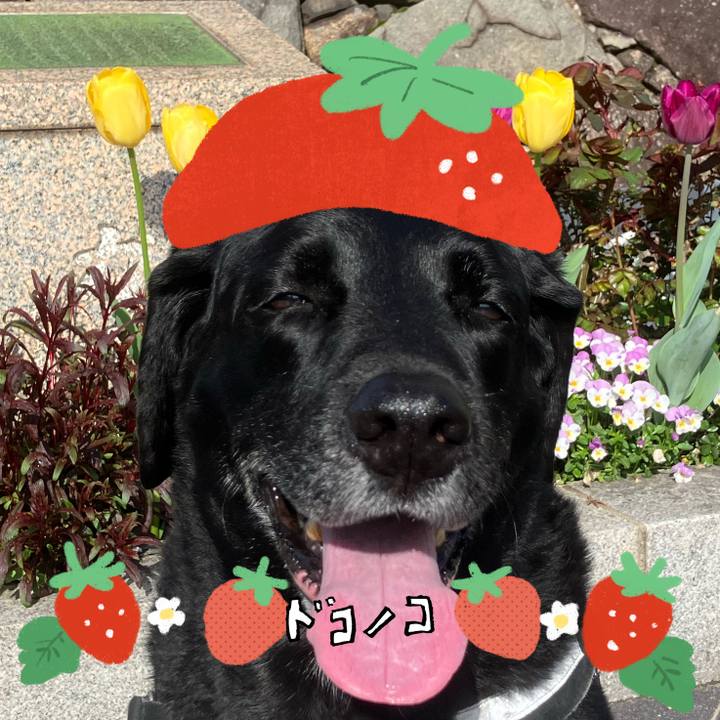 3b5e7b36 af9c 4f3c 89d2 556060943ab3 1775350539444