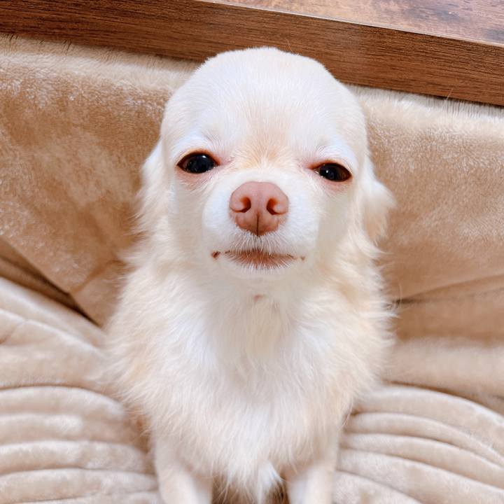 3b5e8dc4 91e1 482b 886e ca37e5218c13 1670124713450