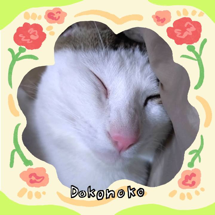 3b5eaad3 768b 432a b466 1b5217832c52 1715509494677