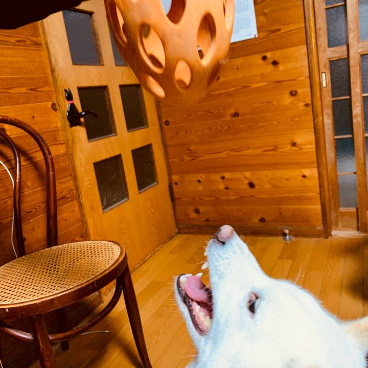 3b5ebb12 bec2 4e75 89e0 f3093cddfeb6 1576625730393