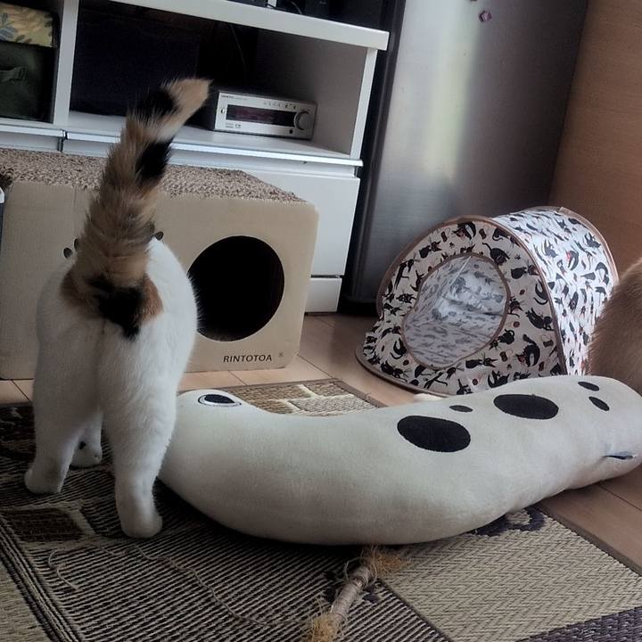 3b5f0244 f8de 4377 9882 f9af5b8d014c 1754988973638