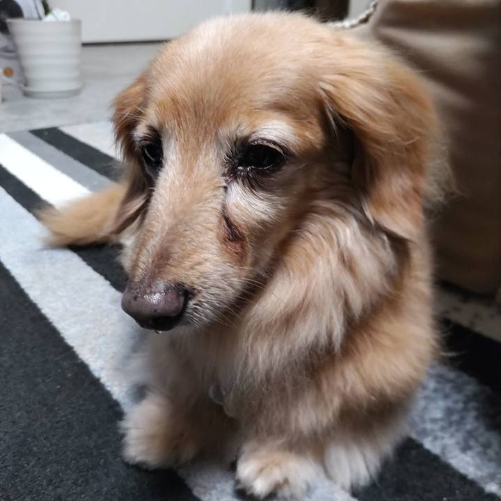 3b5f2437 394b 4815 8384 d4e1b189061c 1722759377260