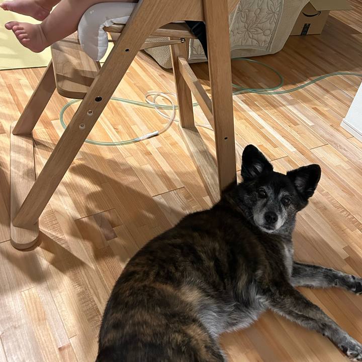 3b5f9de3 eae8 4656 b296 c0d15ac6d3d6 1728739653891