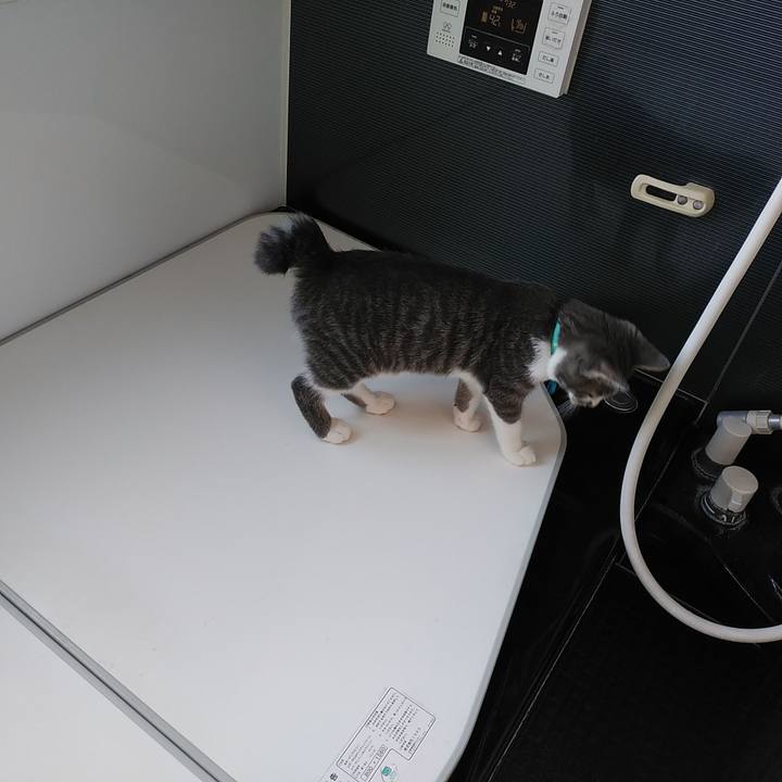 3b5fd071 3455 412b a1fd 9892d4ad71b4 1566599591908