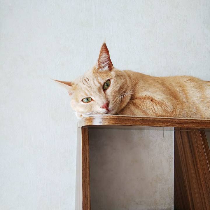 3b600ab8 e4bf 4991 8c63 4e6c38b0b3ed 1600213232273