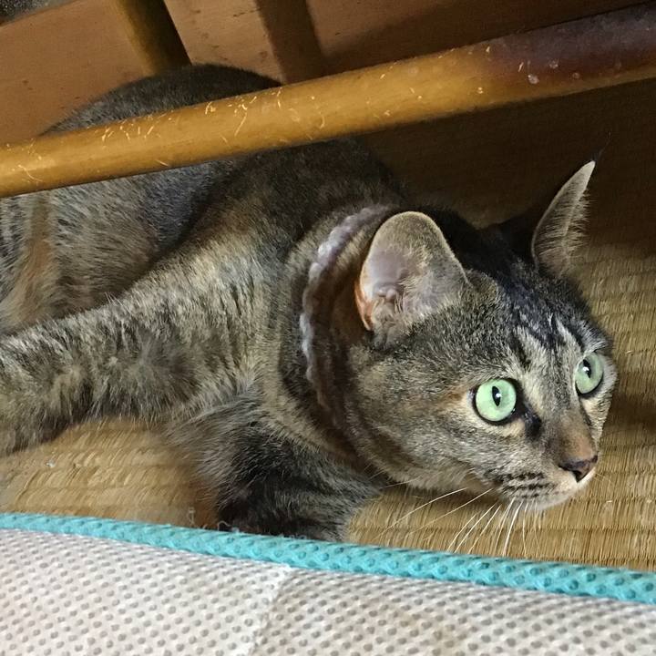 3b603fce 8e45 4b86 b5da 31f9f4005433 1664280242635