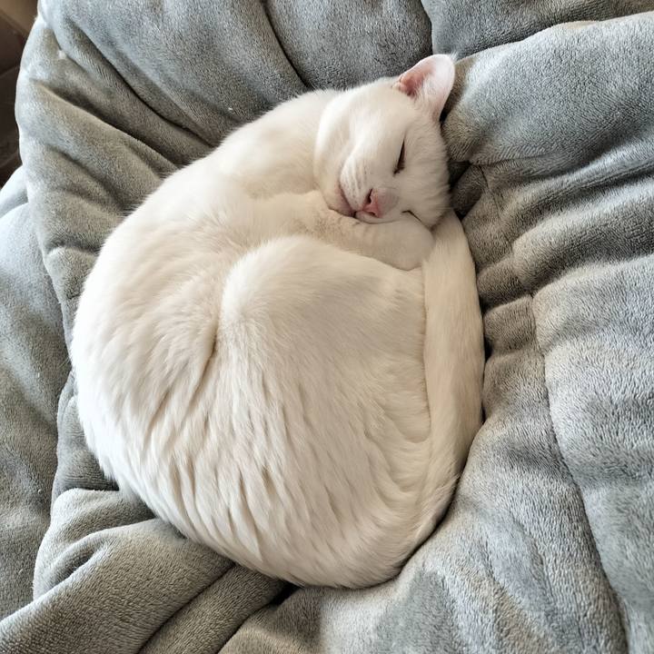 3b6055ce 76ad 4715 8714 aa3b3664335a 1770287842413