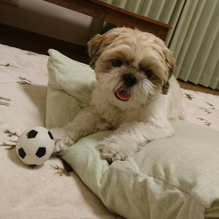 3b607ec0 a9de 4921 973c a977e2dcec0b 1532009284306