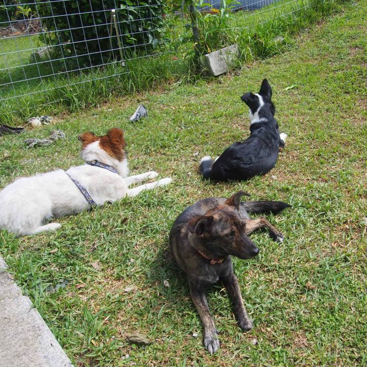 3b60da92 9fdb 409c 91b3 e094f2699f4e 1570599311845