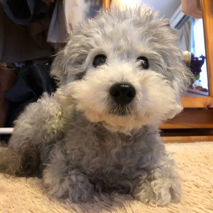 3b60fa46 aaeb 47d0 923f 034277db74c7 1551660605926